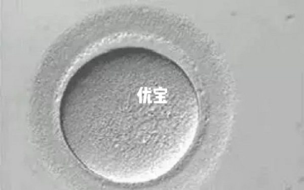 卵子透明带蜡状可以通过辅助生殖技术治疗