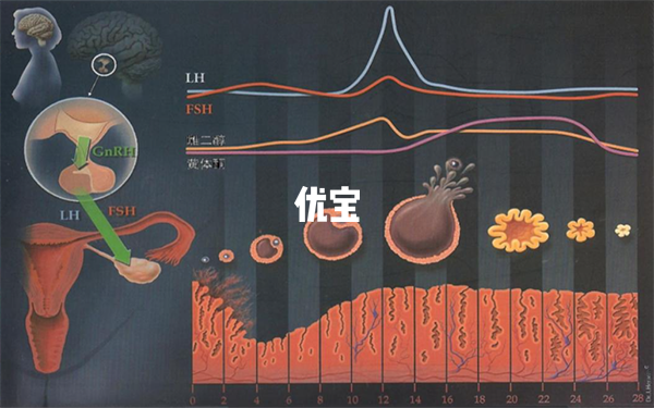 降调针后同房但是需要做好避孕措施