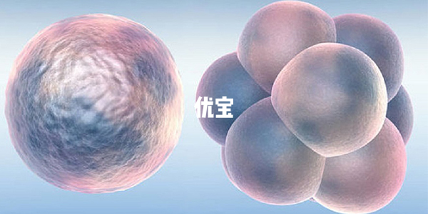 囊胚冻了6年移植成功率取决于囊胚本身质量